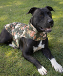 ARIAT PUP PUFFER JACKET ROSEGARDEN PRINT [SZ:XS]