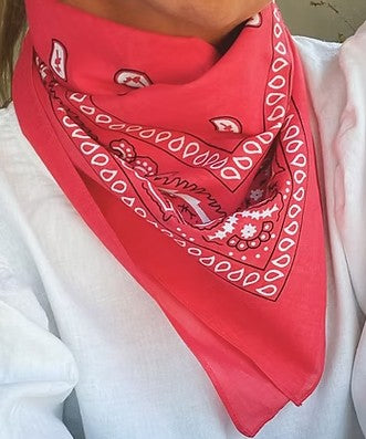TREASURE CHEST CO SCARF - PAISLEY BASICS SCARF - HOT PINK 
