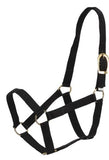 STABLE HALTER - ANY COLOUR - COB [SZ:COB]