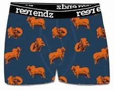 REERENDZ ORGANIC COTTON MENS TRUNKS GRASS FED [SZ:S]