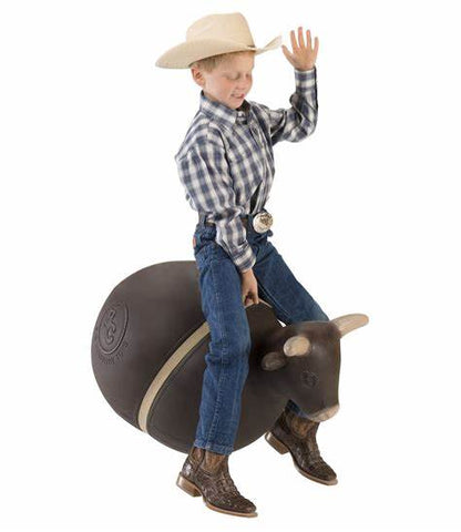 BIG COUNTRY TOYS BOUNCY BULL
