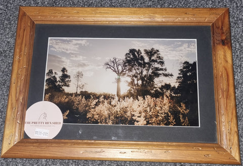 TPHS PHOTO - FRAMED - GOLDEN HOUR BOTTLETREE