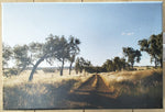 TPHS PHOTO - UNFRAMED - COUNTRY ROAD