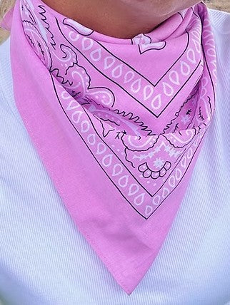 TREASURE CHEST CO SCARF - PAISLEY BASICS SCARF - PALE PINK 