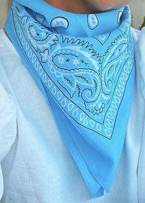 TREASURE CHEST CO SCARF - PAISLEY BASICS SCARF - PALE BLUE 