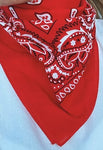 TREASURE CHEST CO SCARF - PAISLEY BASICS SCARF - RED 