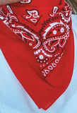 TREASURE CHEST CO SCARF - PAISLEY BASICS SCARF - RED 