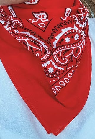 TREASURE CHEST CO SCARF - PAISLEY BASICS SCARF - RED 