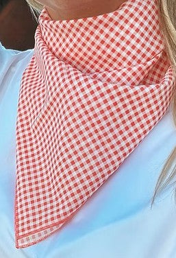 TREASURE CHEST CO SCARF - RED GINGHAM SCARF