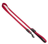 DOG LEAD - NYLON LEASH WIT LOGO - 2.5 X 120CM - ANY COLOUR