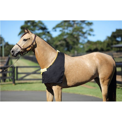 RUG BIB COB BLACK 