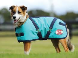 THERMO MASTER SUPREME DOG COAT TEAL NAVY [SZ:10/25]