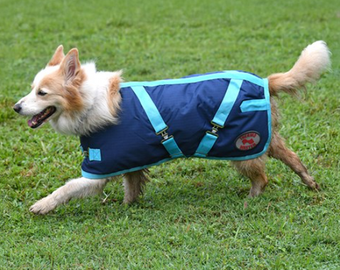 THERMO MASTER SUPREME DOG COAT NAVY / BABY BLUE [SZ:10/25]