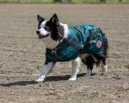 THERMO MASTER SUPREME DOG COAT EMERALD DIAMOND [SZ:16/41CM]