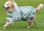 THERMO MASTER SUPREME DOG COAT OLIVE DAISIES [SZ:10/25CM]
