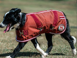 THERMO MASTER SUPREME DOG COAT - CHERRY HI VIS [SZ:18" 46CM]