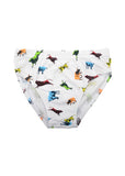 THOMAS COOK BOYS UNDIES 3 PACK MULTI [SZ:2]