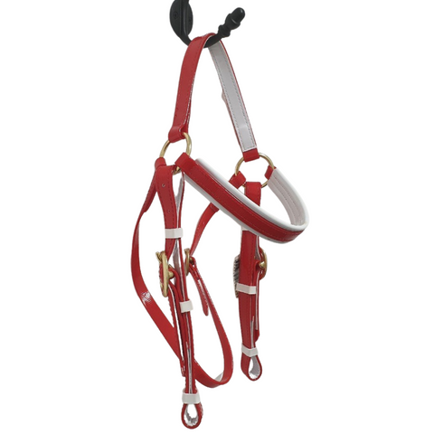BRIDLE PVC BARCOO RED / WHITE BRASS BUCKLES HORSE SENSE